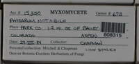 Image Associated With the Occurence